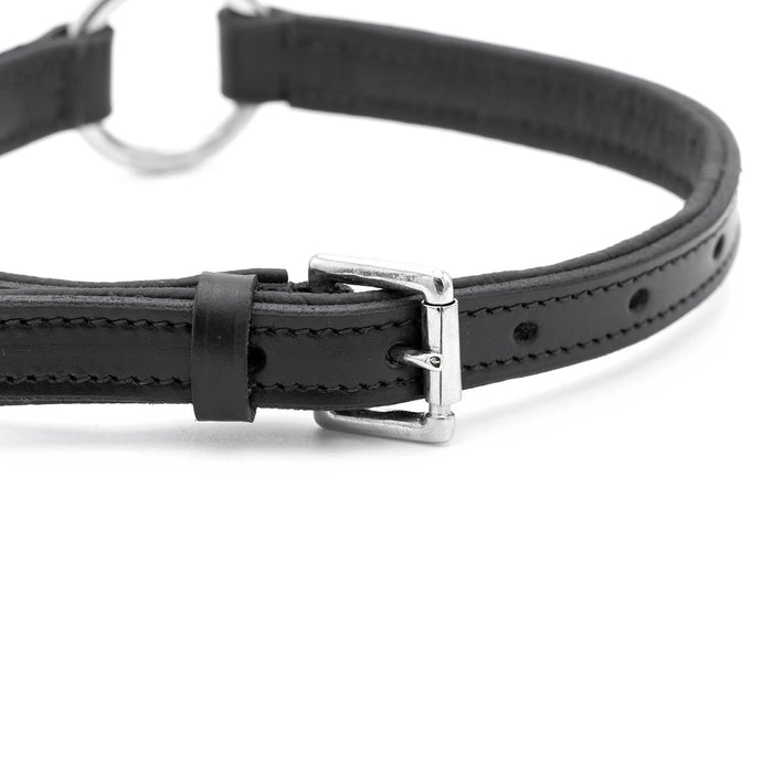Jeffers Padded Black Leather Dog Collars with O - Ring and Nickel Hardware - I2DX - 5/8" x 12" - 4