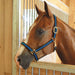Jeffers Padded Nylon Horse Halter with Throat Snap - IA6B - Green/Black - 6