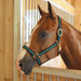 Jeffers Padded Nylon Horse Halter with Throat Snap - IA6B - Green/Black - 1