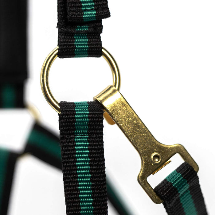 Jeffers Padded Nylon Horse Halter with Throat Snap - IA6B - Green/Black - 4