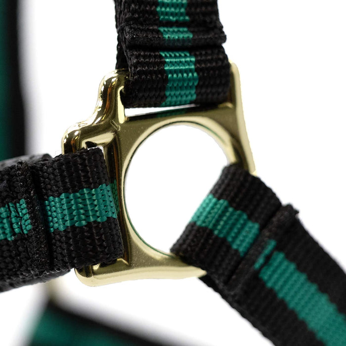 Jeffers Padded Nylon Horse Halter with Throat Snap - IA6B - Green/Black - 5