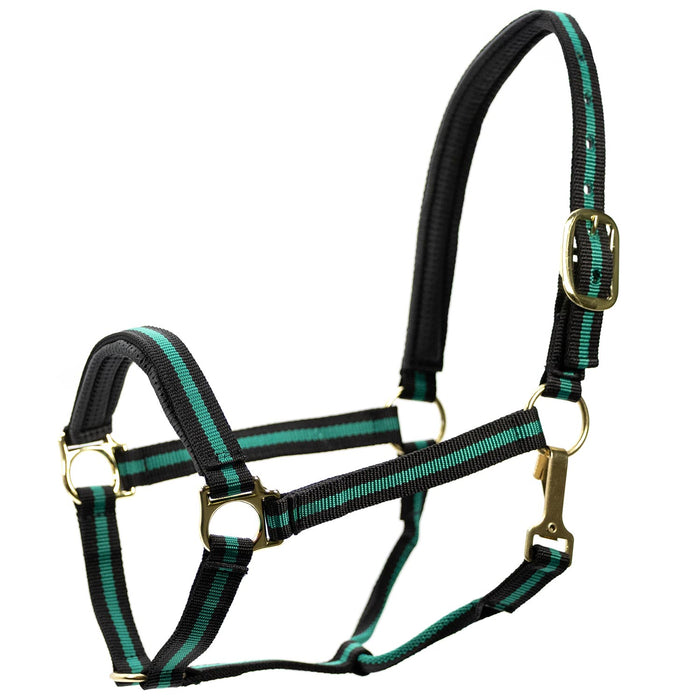 Jeffers Padded Nylon Horse Halter with Throat Snap - IA6B - Green/Black - 2