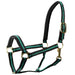 Jeffers Padded Nylon Horse Halter with Throat Snap - IA6B - Green/Black - 2