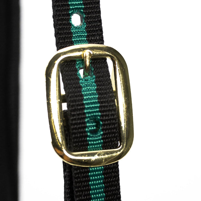 Jeffers Padded Nylon Horse Halter with Throat Snap - IA6B - Green/Black - 3
