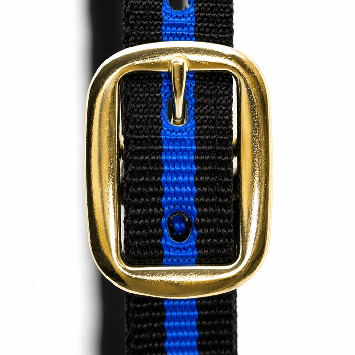 Jeffers Padded Nylon Horse Halter with Throat Snap - IA6C - Blue/Black - 8