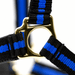 Jeffers Padded Nylon Horse Halter with Throat Snap - IA6C - Blue/Black - 10