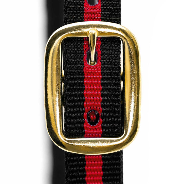 Jeffers Padded Nylon Horse Halter with Throat Snap - IA6D - Black/Red - 13