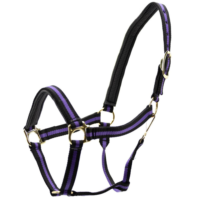 Jeffers Padded Nylon Horse Halter with Throat Snap - IA6E - Purple/Black - 17