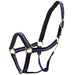 Jeffers Padded Nylon Horse Halter with Throat Snap - IA6E - Purple/Black - 17