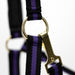 Jeffers Padded Nylon Horse Halter with Throat Snap - IA6E - Purple/Black - 19