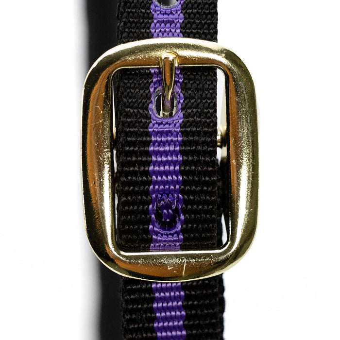 Jeffers Padded Nylon Horse Halter with Throat Snap - IA6E - Purple/Black - 18