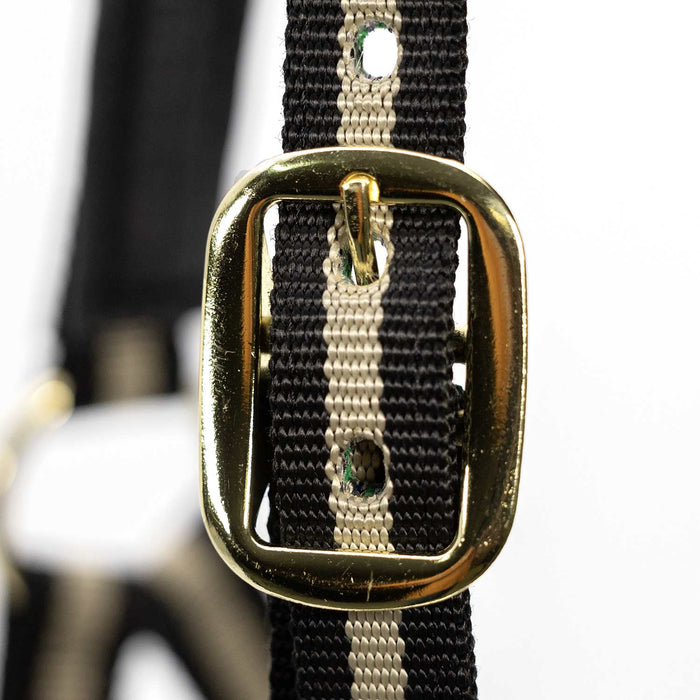 Jeffers Padded Nylon Horse Halter with Throat Snap - IA6F - Black/Tan - 23