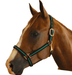 Jeffers Padded Nylon Horse Halter with Throat Snap - IA6F - Black/Tan - 6