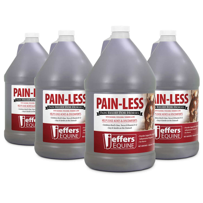 Jeffers Pain - Less Pain Relief Liquid for Horses - JEF2P8-KIT - Gallon - 4 - 12