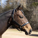 Jeffers Paris Padded Leather Horse Halter with Throat Snap – Adjustable Black Premium Triple Stitching - JEF15Z - Black - Cob - 1 - 2