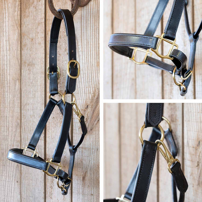 Jeffers Paris Padded Leather Horse Halter with Throat Snap – Adjustable Black Premium Triple Stitching - JEF15Z - Black - Cob - 1 - 6