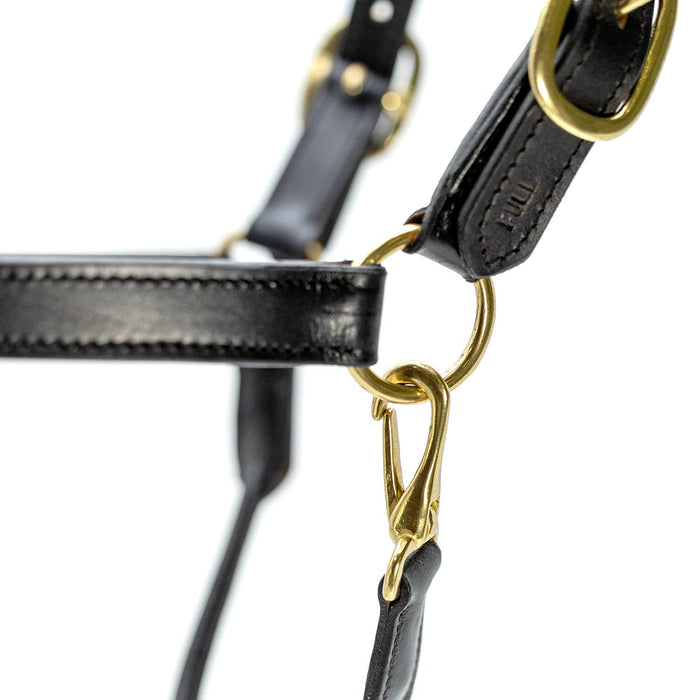 Jeffers Paris Padded Leather Horse Halter with Throat Snap – Adjustable Black Premium Triple Stitching - JEF15Z - Black - Cob - 1 - 3