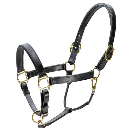 Jeffers Paris Padded Leather Horse Halter with Throat Snap – Adjustable Black Premium Triple Stitching - JEF15Z - Black - Cob - 1 - 1