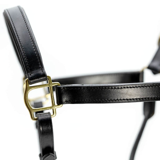 Jeffers Paris Padded Leather Horse Halter with Throat Snap – Adjustable Black Premium Triple Stitching - JEF15Z - Black - Cob - 1 - 2