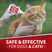 Jeffers Pet Anti - Itch Ear Drops with Hydrocortisone Ear Relief for Dogs & Cats - JEF2RH - 2 fl oz - 7