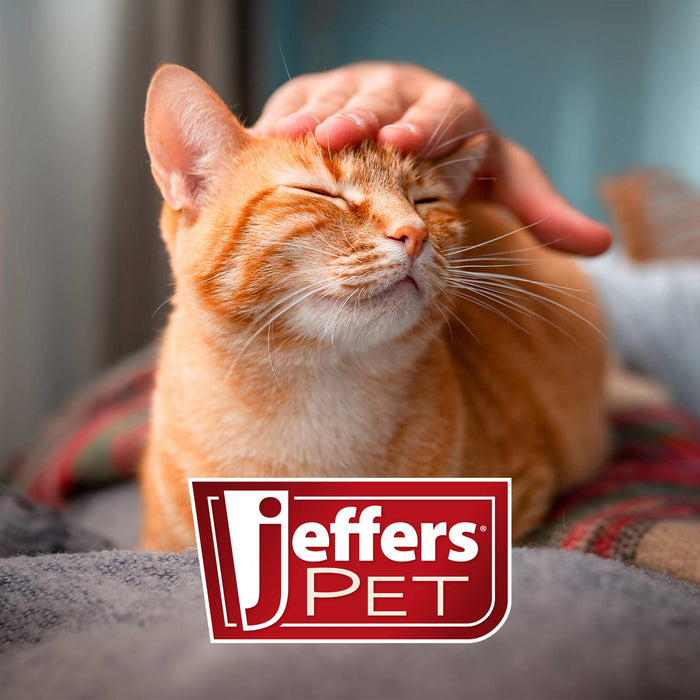 Jeffers Pin Brush for Pet Grooming, Medium - UWP5 - 11