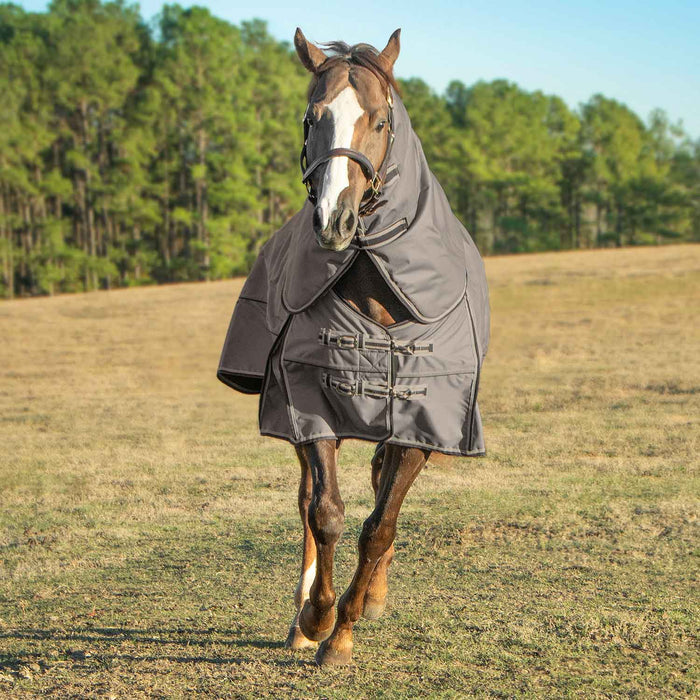 Jeffers Poplar Head Defense 1680 Denier Turnout Blanket with Detachable Neck, 240 Gram, Plymouth Brown - Jeffers - Horse Supplies > Horse Blankets & Sheets