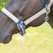 Jeffers Poplar Head Halter & Lead, Full - Jeffers - Horse Supplies > Horse Tack > Horse Halters