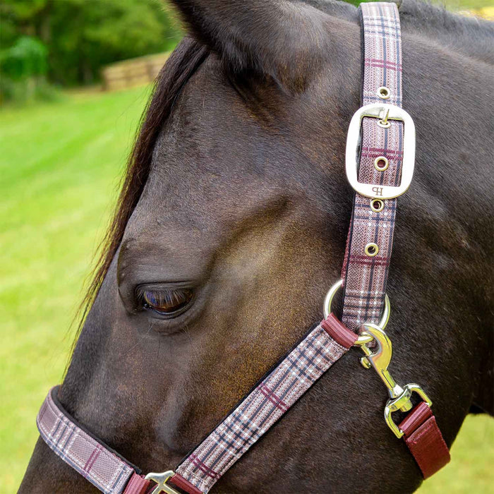 Jeffers Poplar Head Halter & Lead, Full - Jeffers - Horse Supplies > Horse Tack > Horse Halters