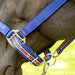 Jeffers Poplar Head Halter & Lead, Full - Jeffers - Horse Supplies > Horse Tack > Horse Halters