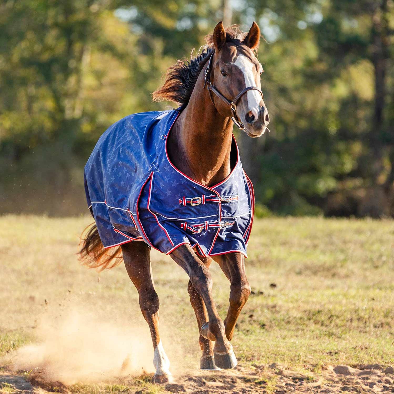 Jeffers Poplar Head Origin 600 Denier Horse Turnout Blanket, 240 Gram