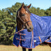 Jeffers Poplar Head Origin 600 Denier Turnout Blanket, 240 Gram, Allegiance - Jeffers - Horse Supplies > Horse Blankets & Sheets