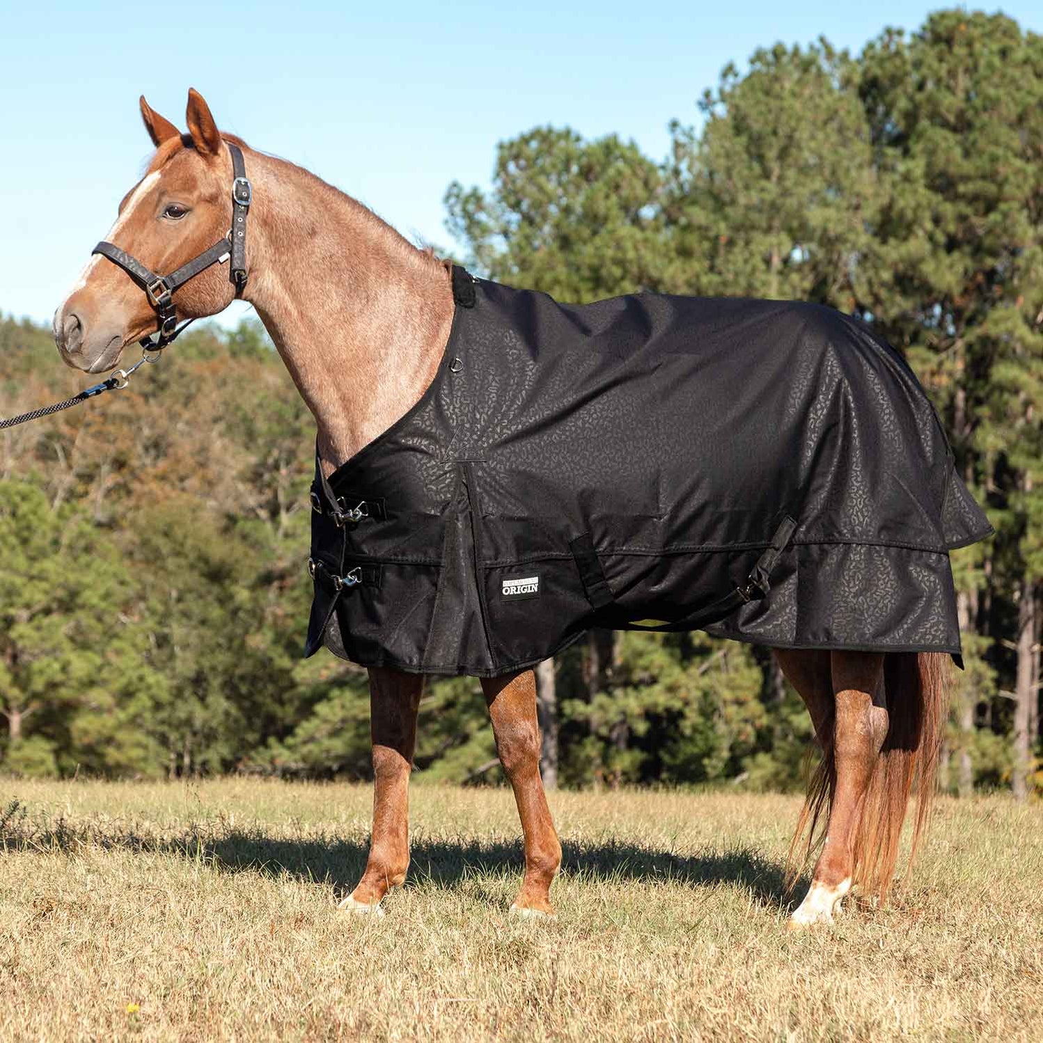 Jeffers Poplar Head Origin 600 Denier Turnout Blanket, 240 Gram, Covert