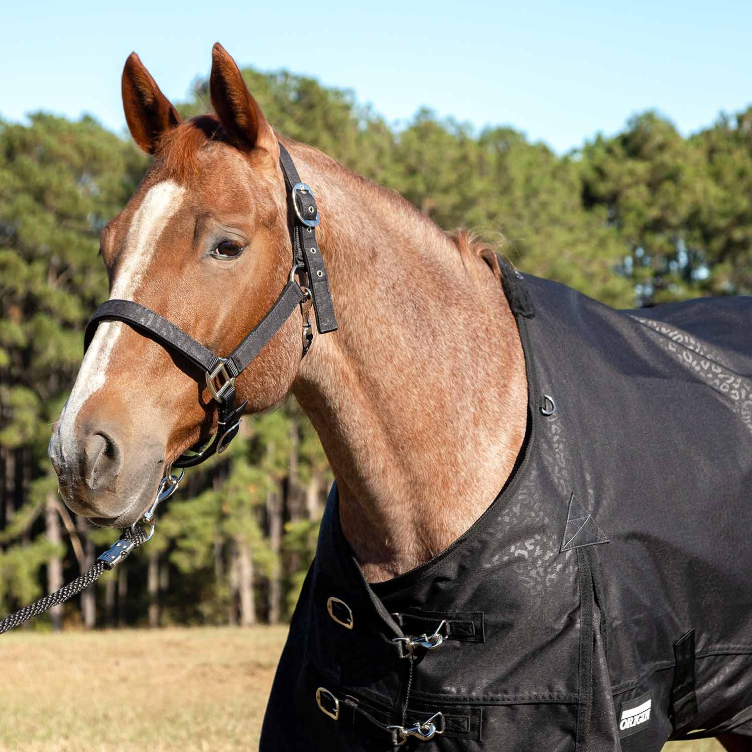 Jeffers Poplar Head Origin 600 Denier Horse Turnout Blanket, 240 Gram