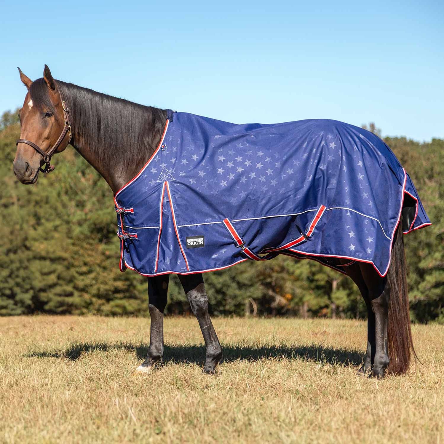 Jeffers Poplar Head Origin 600 Denier Turnout Horse Sheet, 0 Gram