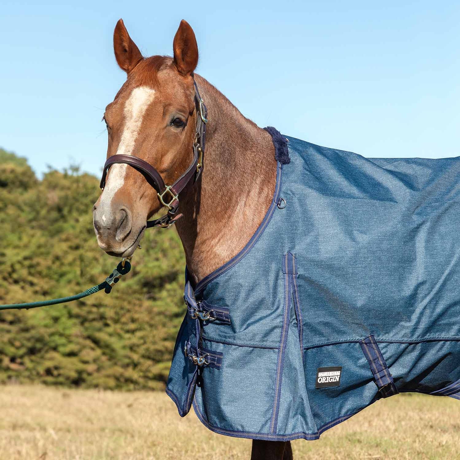 Jeffers Poplar Head Origin 600 Denier Turnout Horse Sheet, 0 Gram