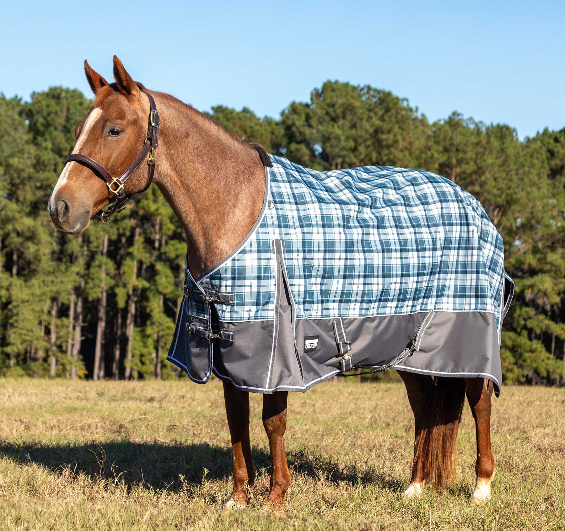 Jeffers Poplar Head Origin 600 Denier Turnout Horse Sheet, 0 Gram