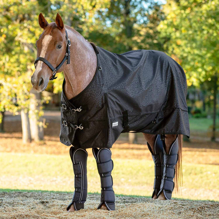 Jeffers Poplar Head Shipping Boots - Jeffers - Horse Supplies > Horse Boots & Leg Wraps