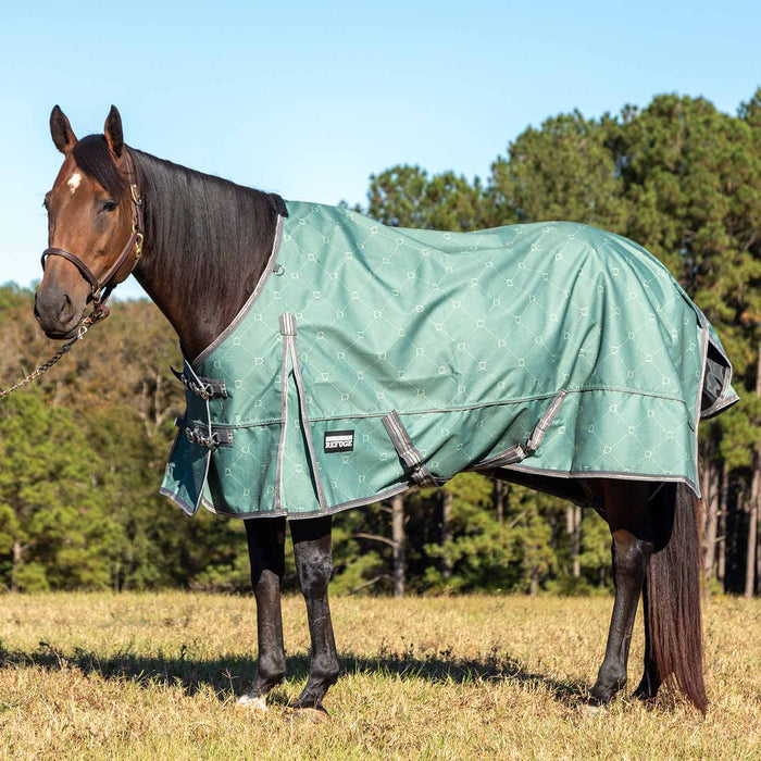 Jeffers Poplar Head Uniquely English 1200 Denier Turnout Blanket, 240 Gram, Spruce Stirrup Irons - Jeffers - Horse Supplies > Horse Blankets & Sheets