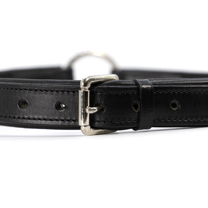 Jeffers Premium Padded Black Leather Dog Collars - GAGJU - 5/8" x 12" - Black - 3