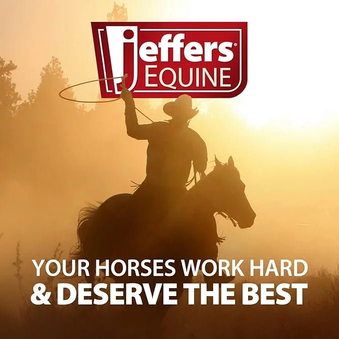 Jeffers Probiotic Gel for Horses, 2 Dose Syringe - JEF2A1 - 30 cc - 1 - 8