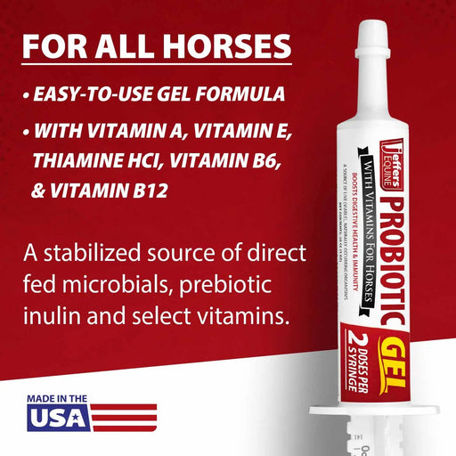Jeffers Probiotic Gel for Horses, 2 Dose Syringe - JEF2A1 - 30 cc - 1 - 2