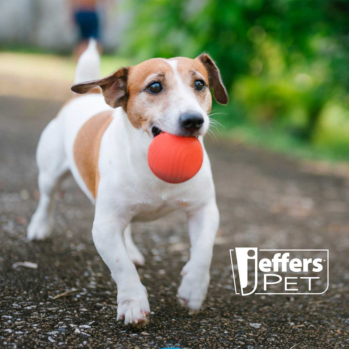 Jeffers Red Bouncing Ball with Waves Natural Rubber Dental Dog Chew Toy for Energetic Play - I7Q3 - Red - Medium - 1 - 5