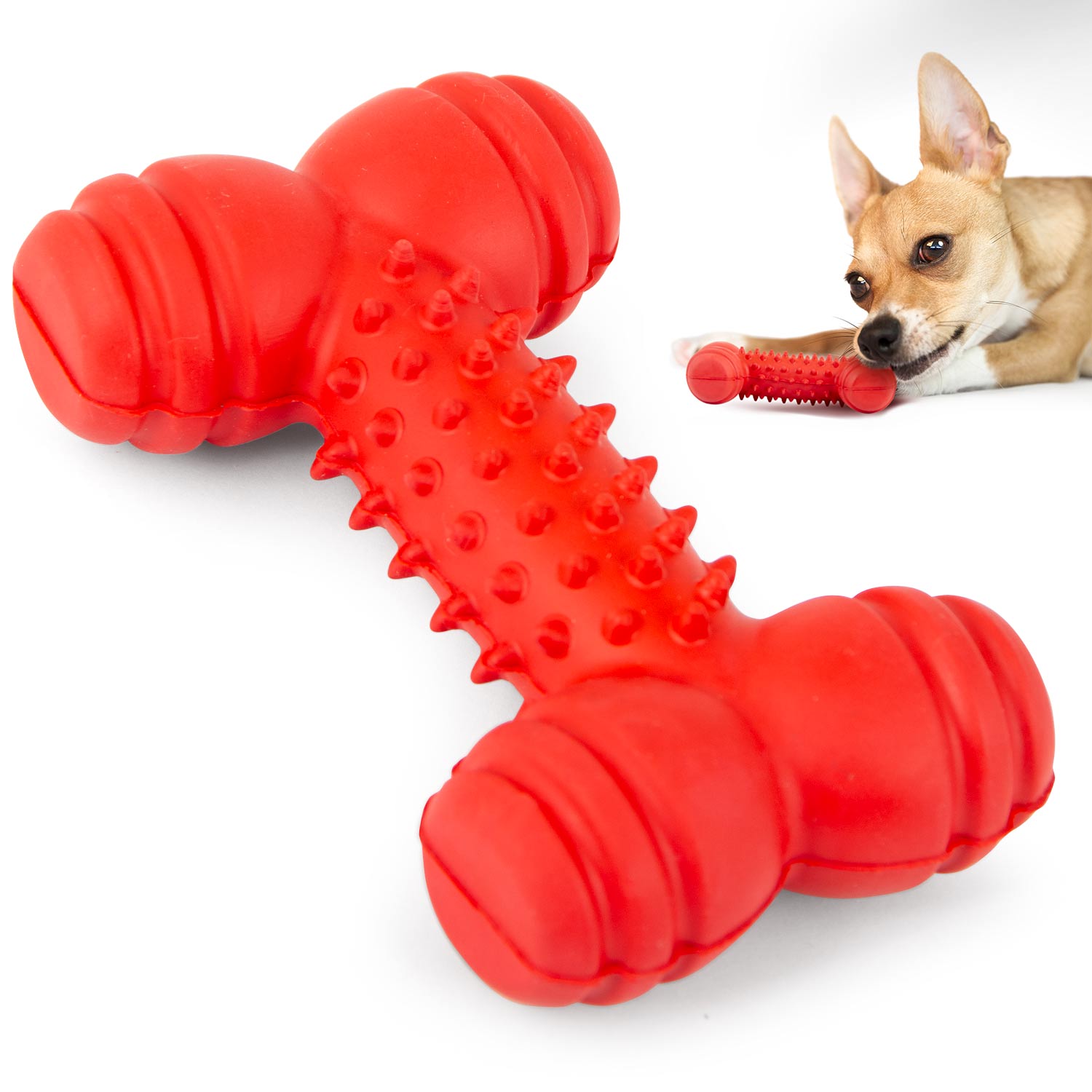 sex toy store colorado springs Jeffers Red Dental Bone Natural Rubber Dog Chew Toy for Healthy Teeth and Gums Red / Small / 1