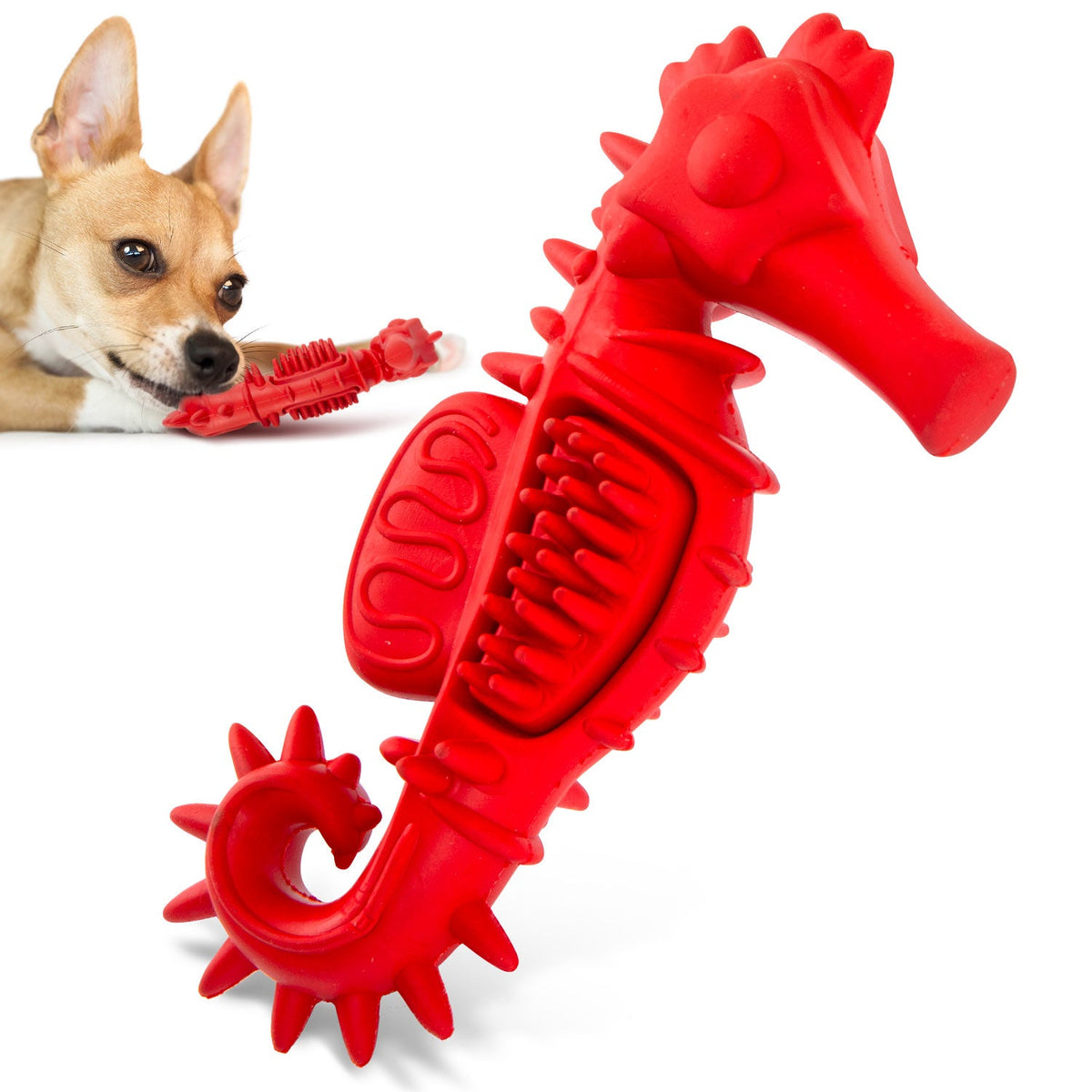 ２点セット WATER DOG GARDEN 革皮コンチョアクセサリー Jeffers Red Seahorse Chew Toy for Dogs, Small