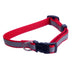 Jeffers Reflective Safety Stripe Adjustable Nylon Dog Collar – Glow - in - the - Dark for Night Visibility - IDE6 - 5/8"W x 10" - 16"L - Red - 2