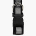 Jeffers Reflective Safety Stripe Adjustable Nylon Dog Collar – Glow-in-the-Dark for Night Visibility - IDE8 - 5/8"W x 10"-16"L - Black - 14