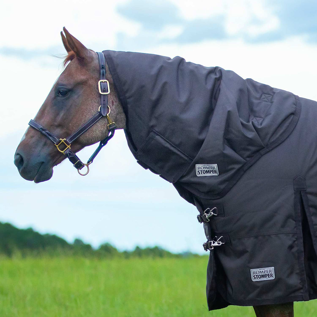 Jeffers Romper Stomper Neck Rug for Horses, 1680d