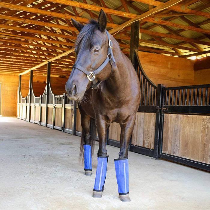 Jeffers Romper Stomper "Stomp - Free" Fly Boots for Horses, 4 pack - JEF2R3 - Indigo - Small - 14