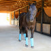 Jeffers Romper Stomper "Stomp - Free" Fly Boots for Horses, 4 pack - JEF2R9 - Turquoise - Small - 6