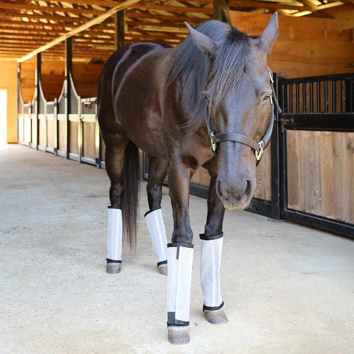 Jeffers Romper Stomper "Stomp - Free" Fly Boots for Horses, 4 pack - JEF2RC - Grey - Small - 9